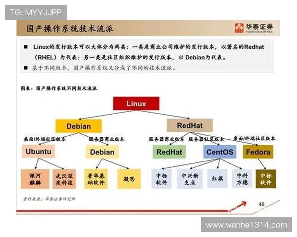 上海羽毛球队转型之路的挑战与机遇全景解析