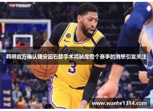 鹈鹕官方确认锡安因右膝手术将缺席整个赛季的消息引发关注